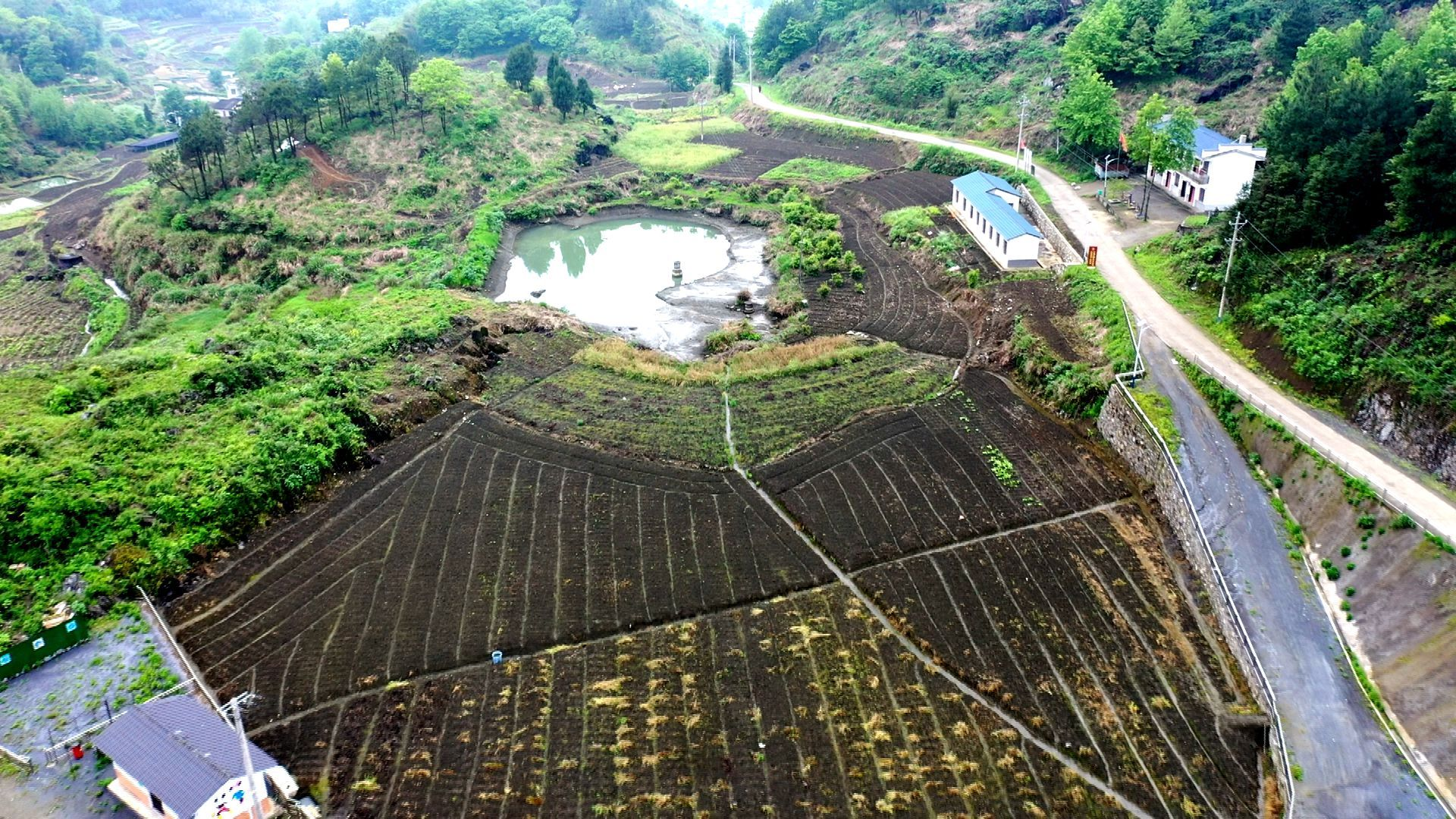 通城縣塘湖鎮調和紅綠藍三原色繪就多彩振興夢