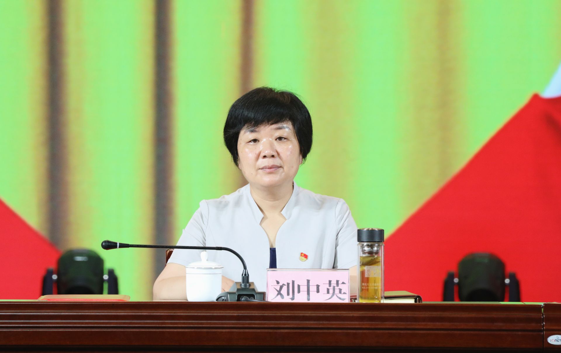 县委书记刘中英,县领导刘季平,汤会礼,朱凤英,罗小虎,熊斌,肖亮参加