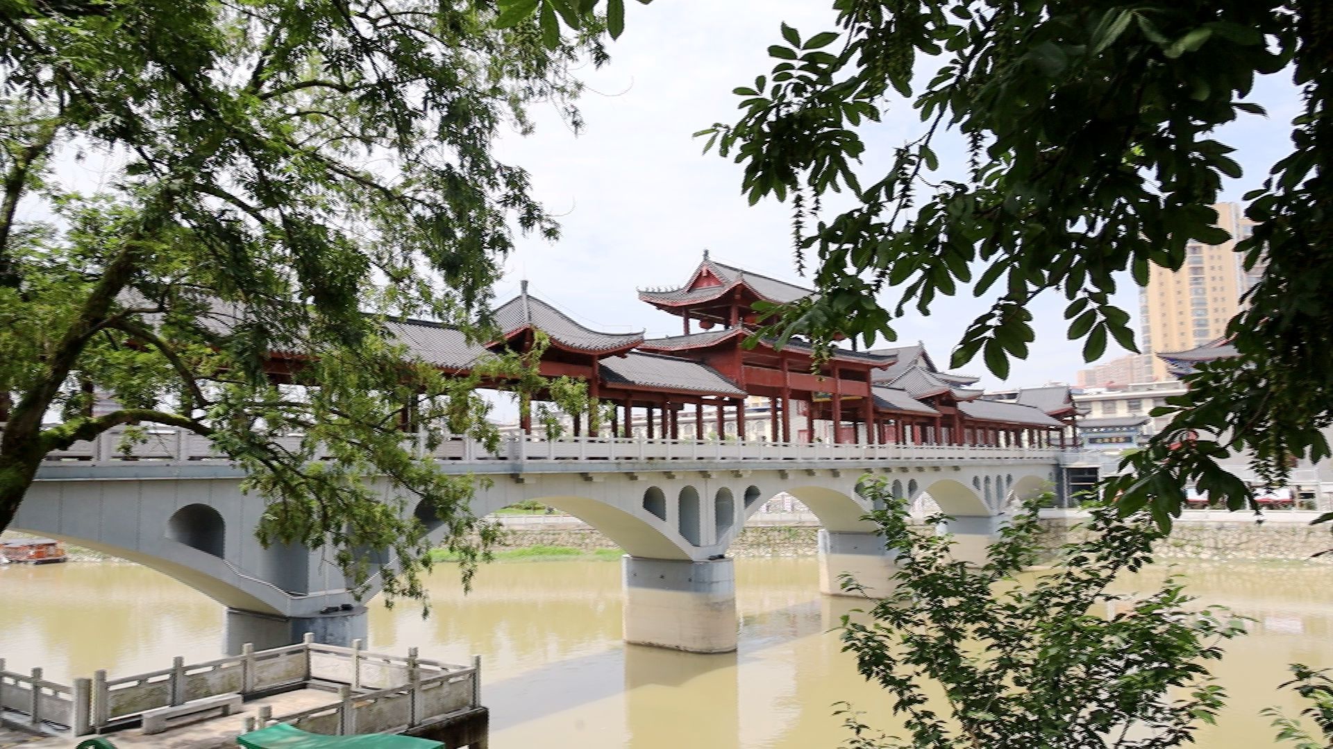 通城县林业局:为秀水公园绿荫贴上"身份证"