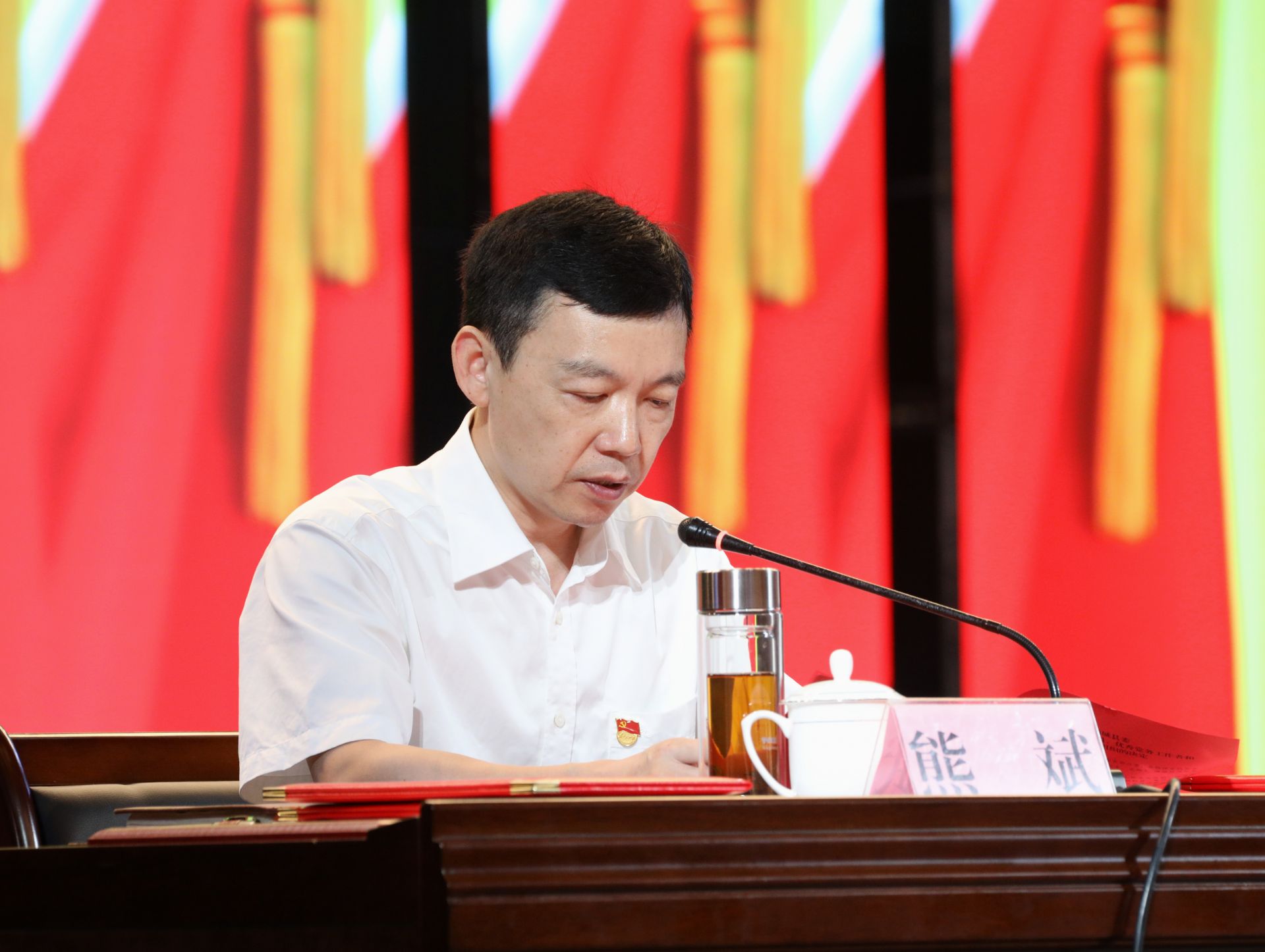 通城县举行2021年两优一先表彰大会