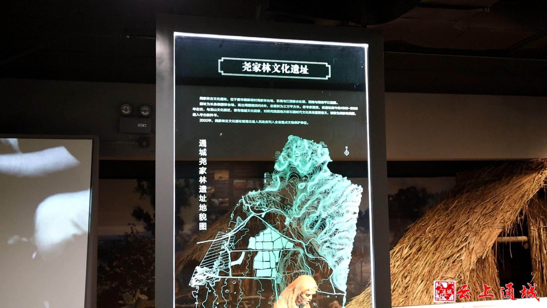新春看变化通城县博物馆建成开馆02三千余件藏品等您参观