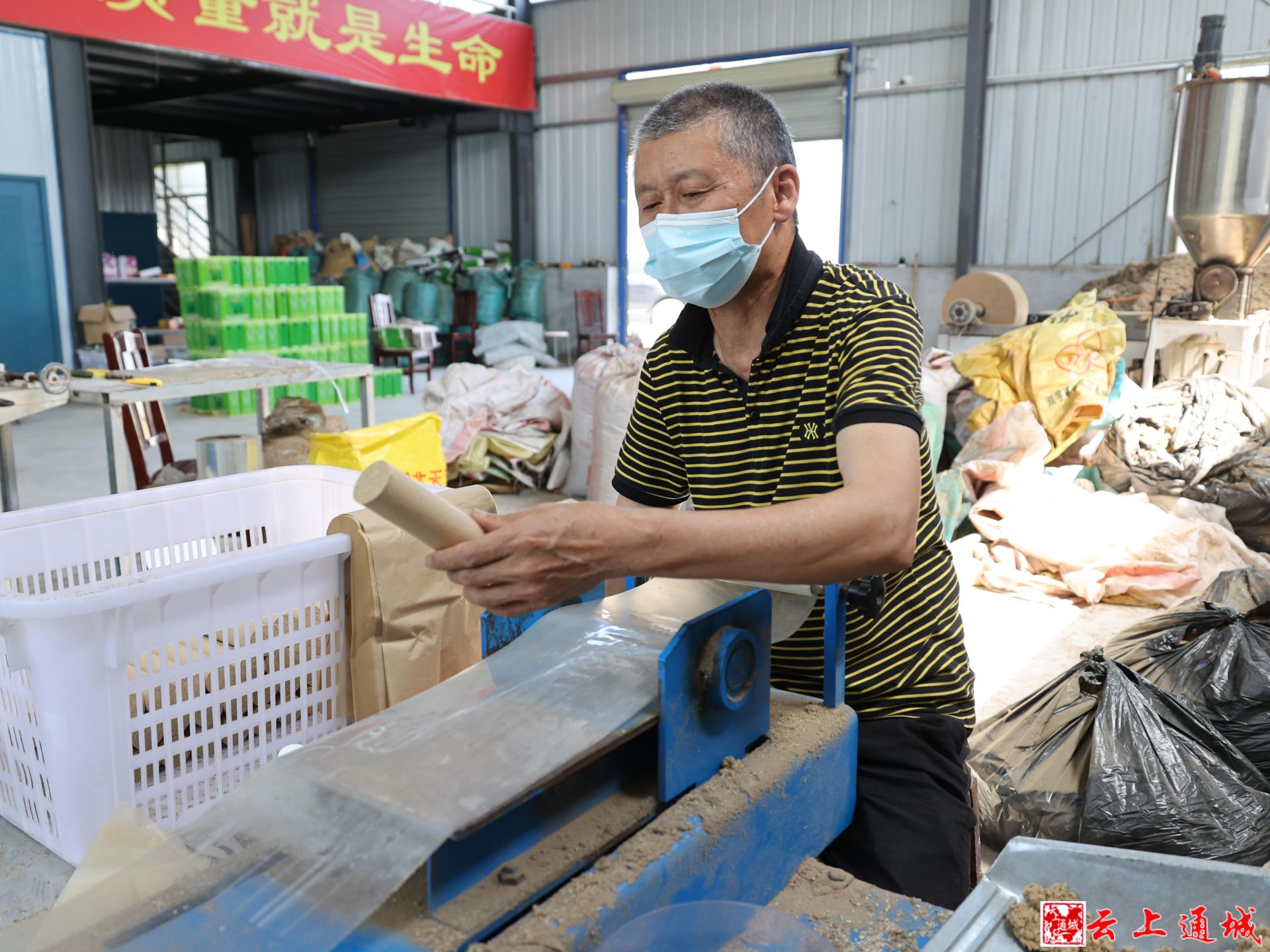艾草种植全流程实战指南：从选地、种苗到艾绒加工，广东艾草种植基地经验分享