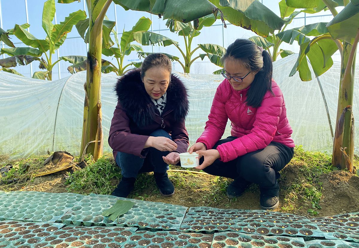青山镇干部(左)与程艳查看基地情况"还有什么困难没?