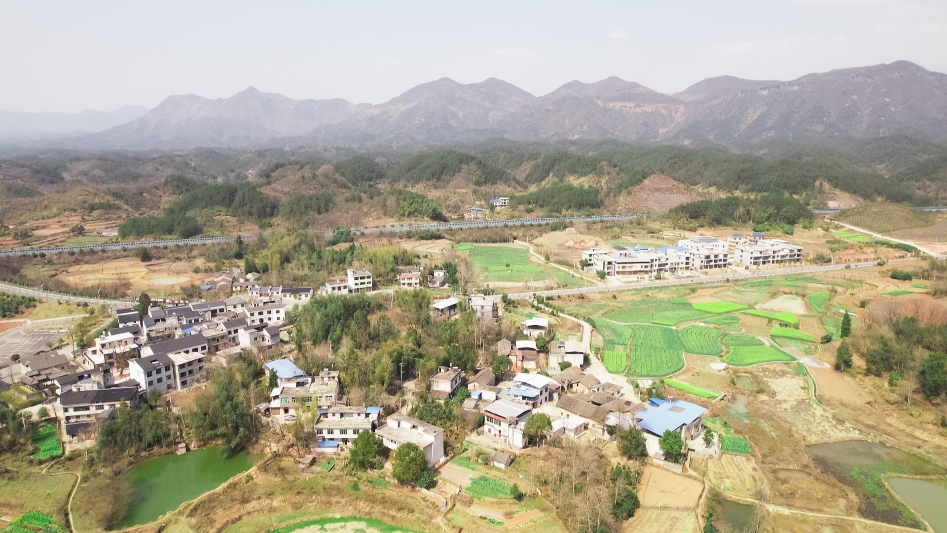 记者乡村行72白霓镇人居环境整治激活乡村美丽经济