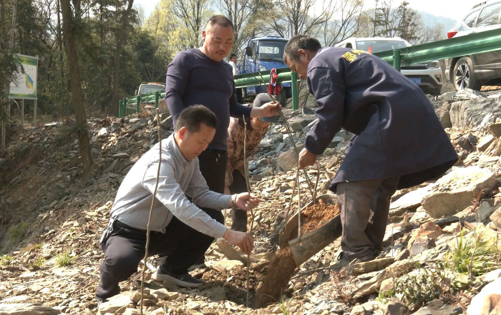 回春有术湖北省桂花林场管理局按下退化林修复键