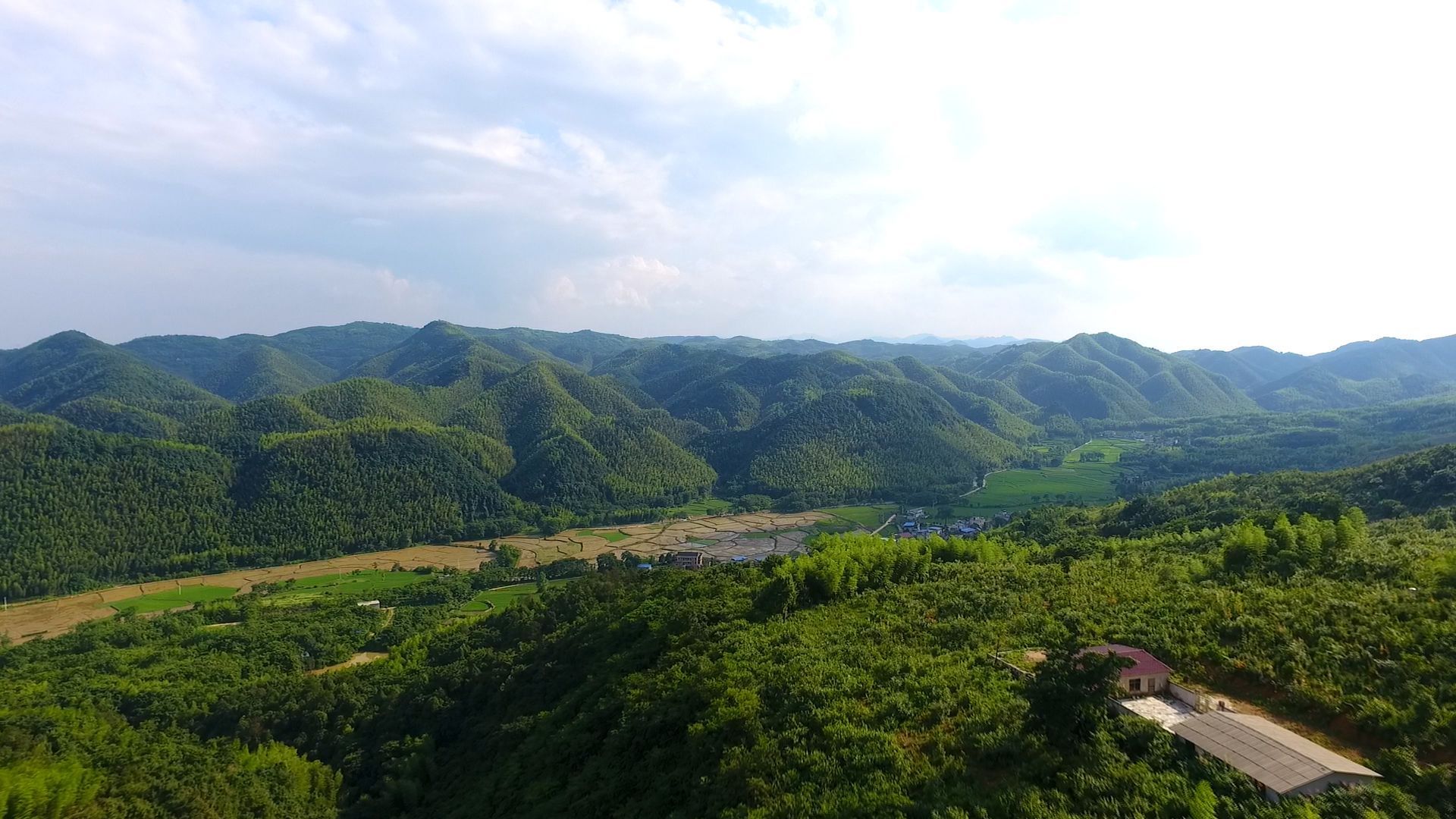 回春有术湖北省桂花林场管理局按下退化林修复键