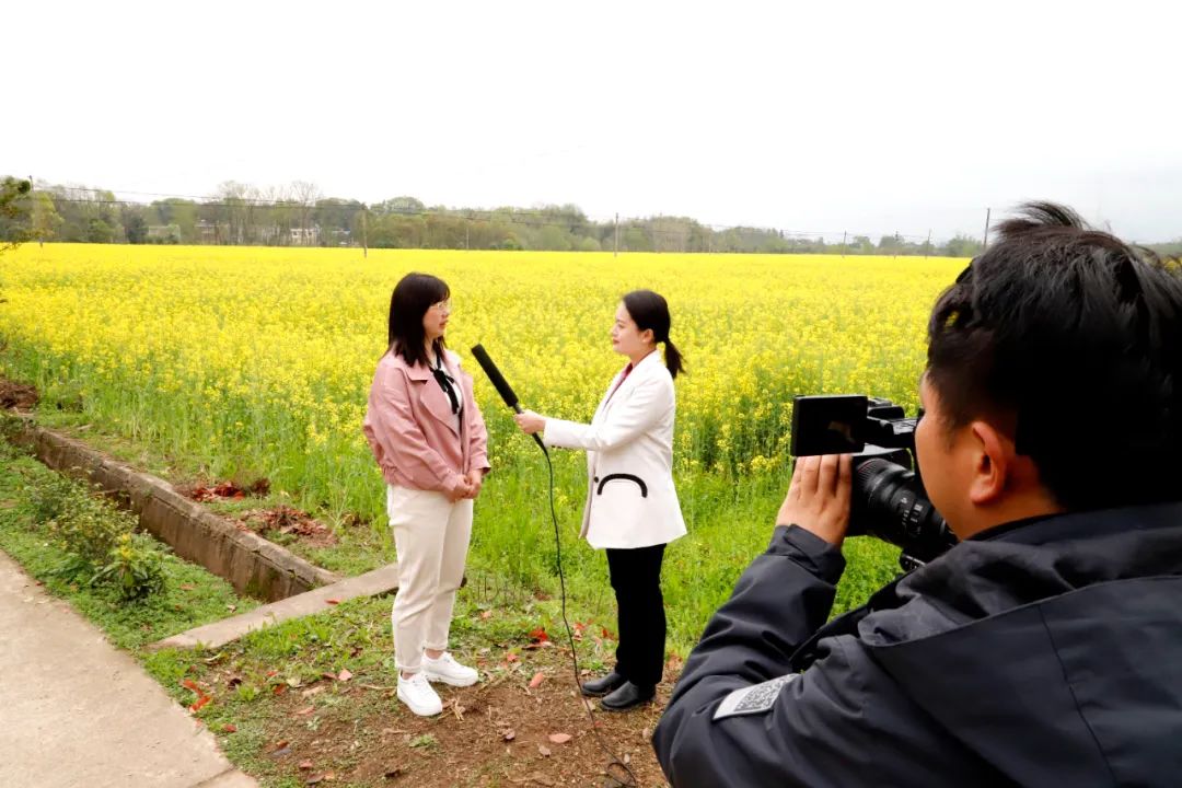 湖北崇阳女人名声图片