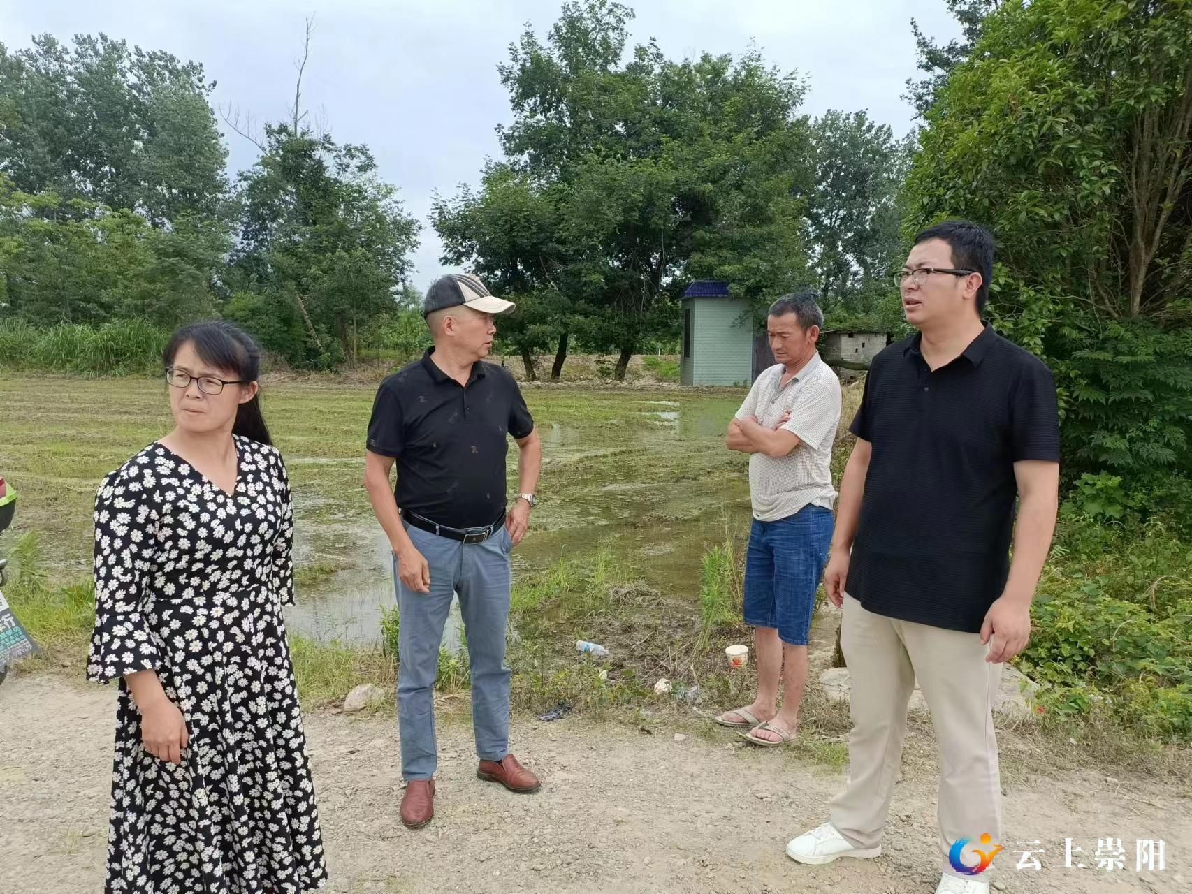 崇阳青山镇三百亩农田亟需灌溉四部门联手合力解难