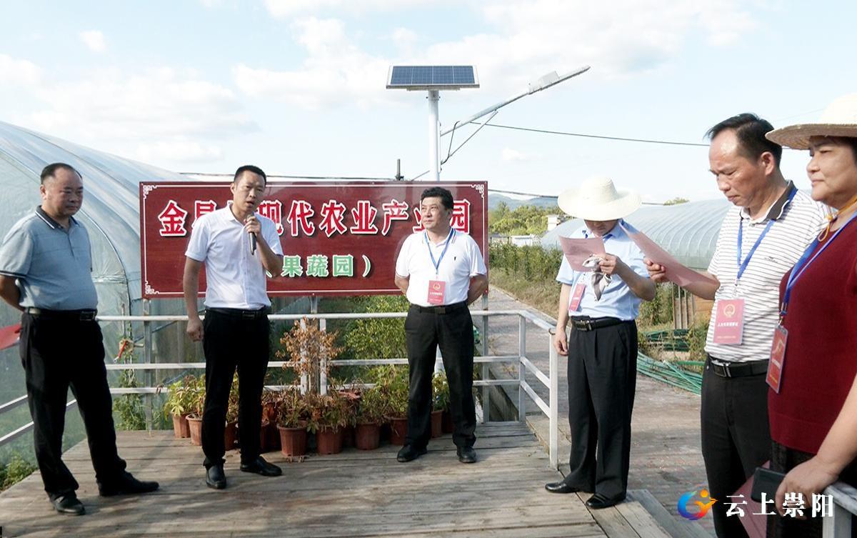 崇阳县人大常委会调研视察中华人民共和国乡村振兴促进法湖北省乡村