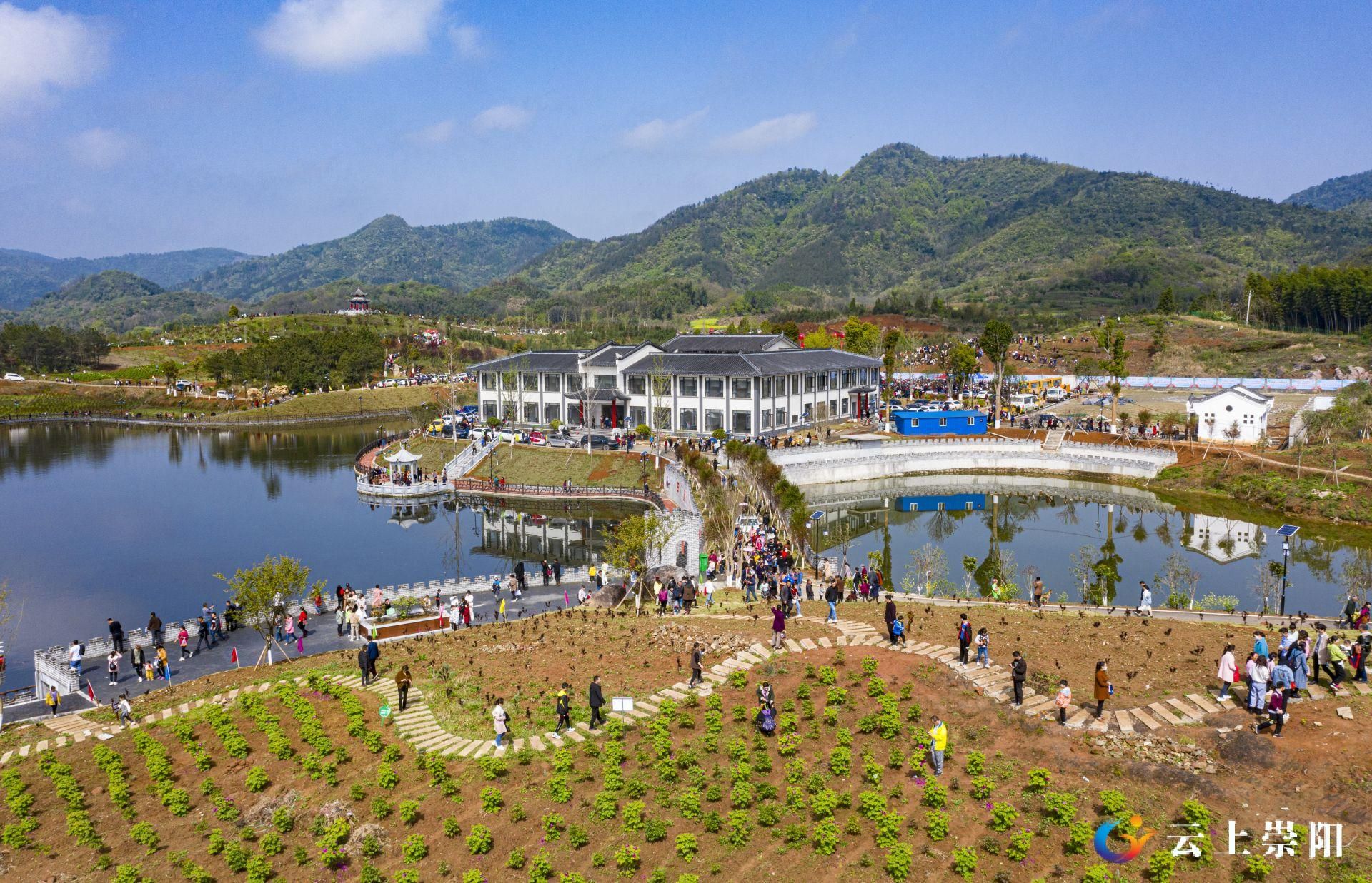 崇阳县石城镇西庄村:用情引才用心聚才 激活人才"一池春水"