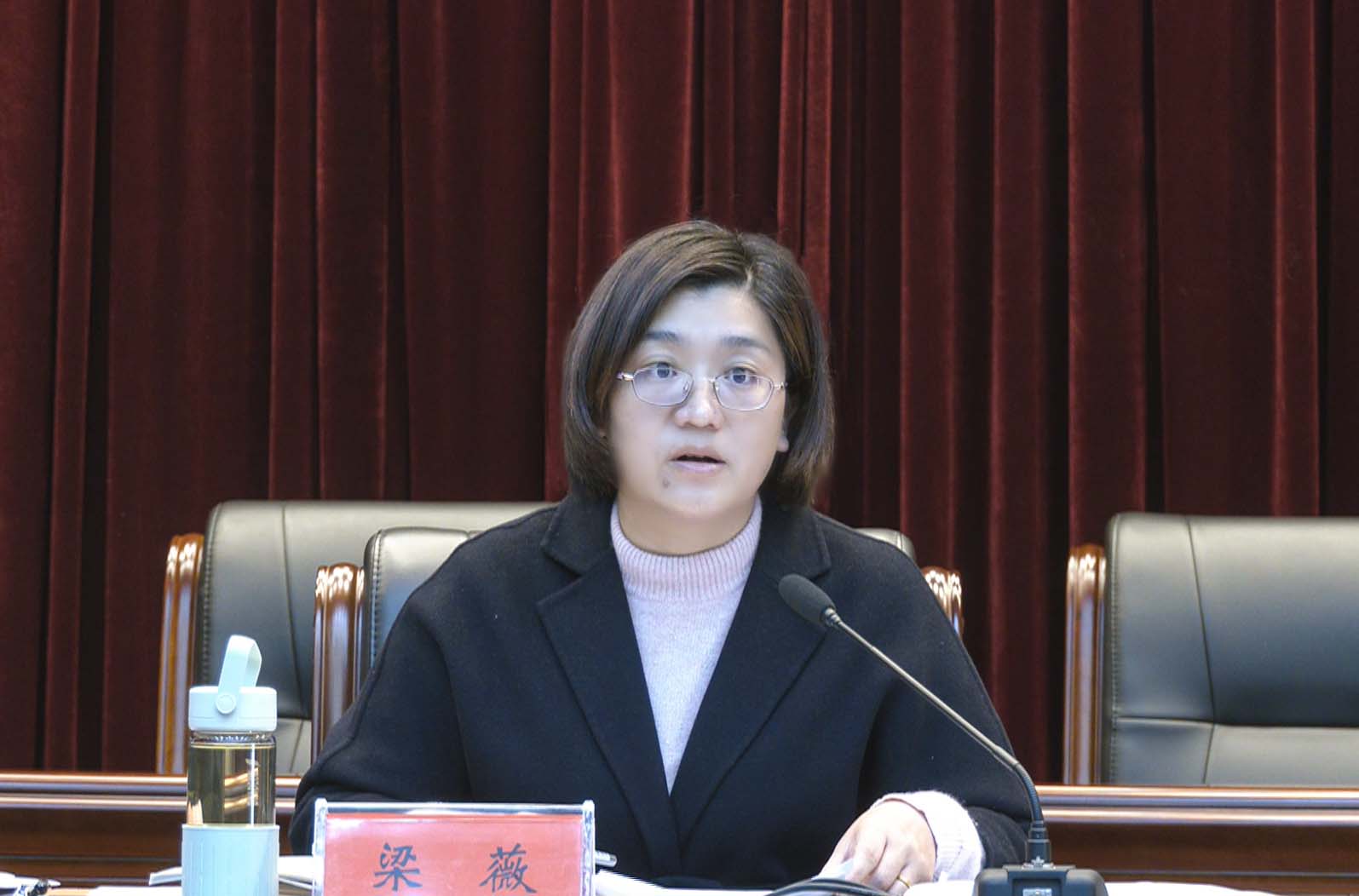崇阳"两团多队"宣讲活动全面启动