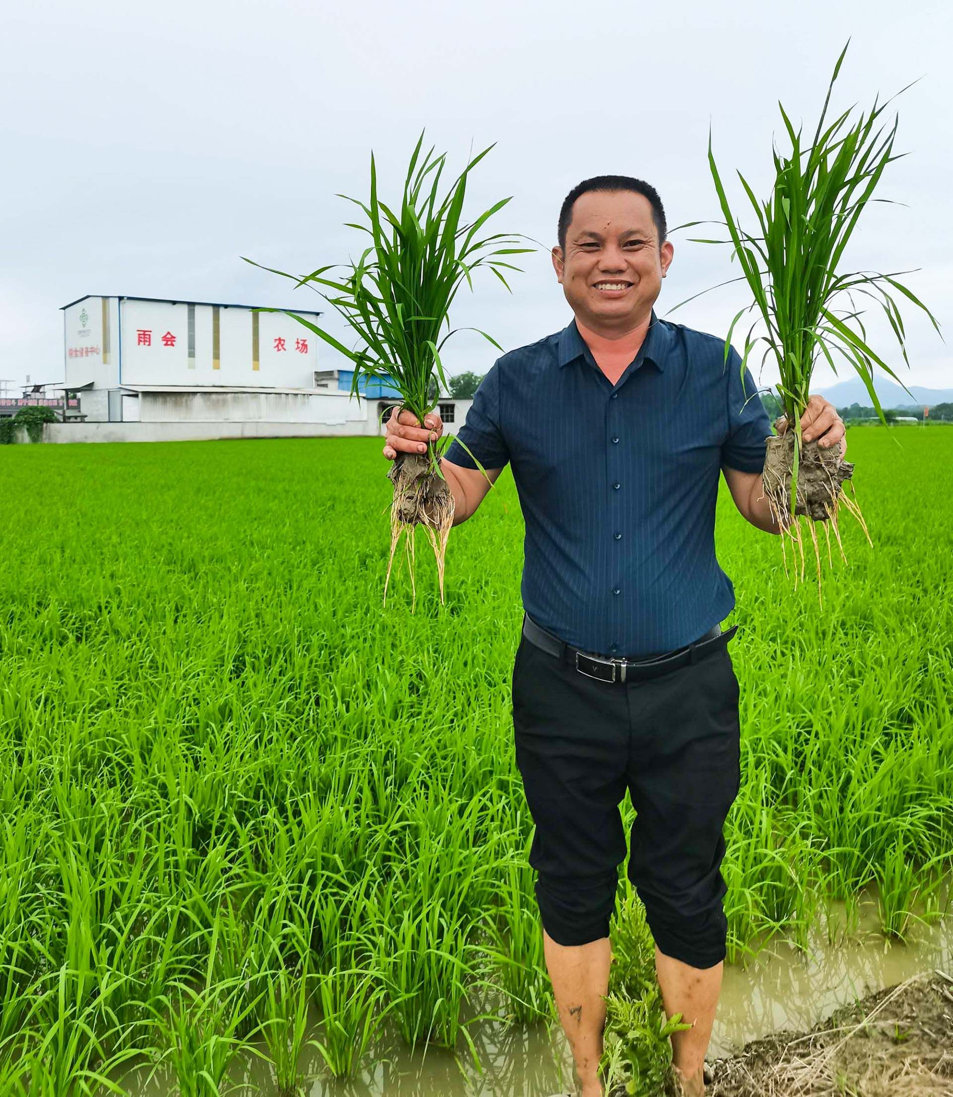 身边的榜样│吴正刚:稻田里的"领头雁" _云上崇阳