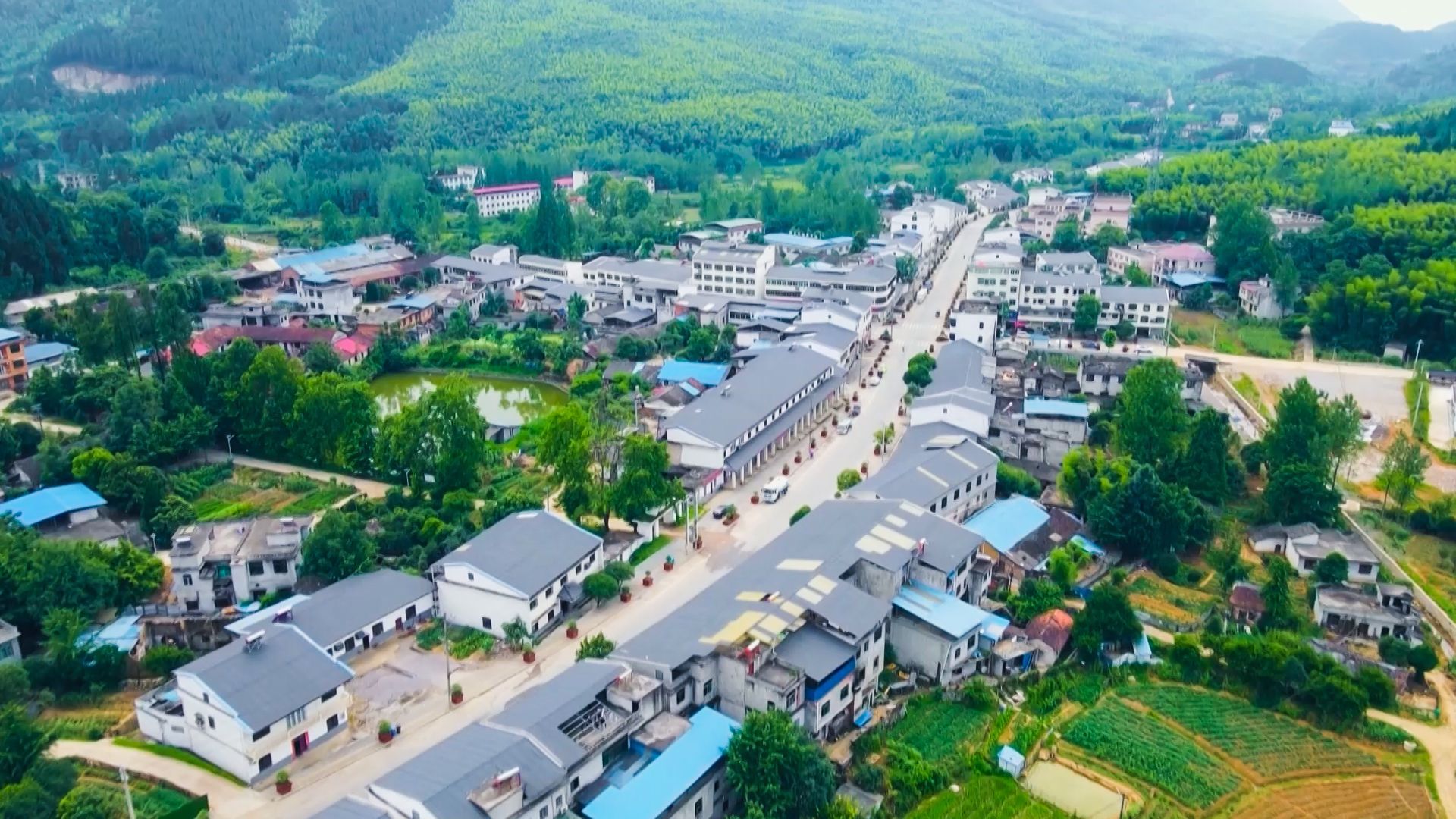 崇阳县桂花泉镇开展农村人居环境整治拉练检查_云上崇阳