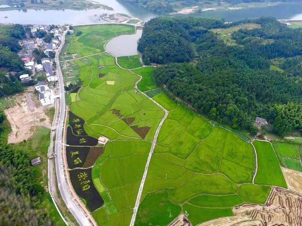 咸宁崇阳:农旅融合 美丽乡村处处皆是景