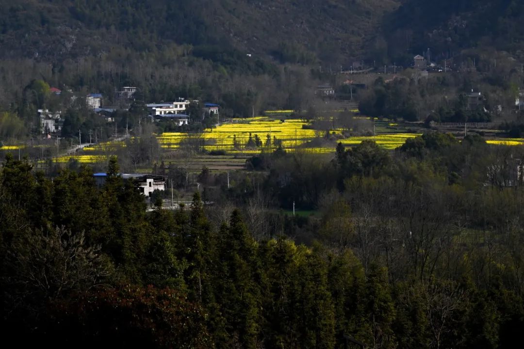 小自然村1-傅平.jpg