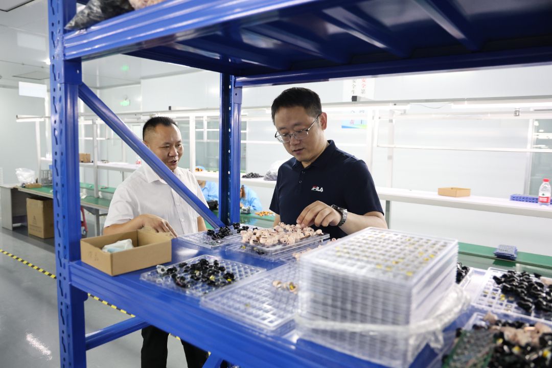 孟科调研县域工业经济高质量发展工作_副本.jpg