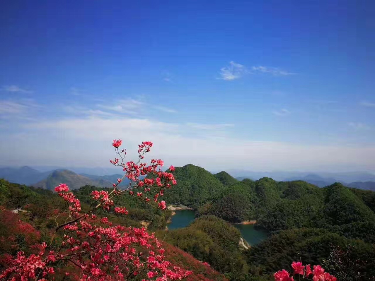 大幕山春日风景美如画赏花游玩好去处