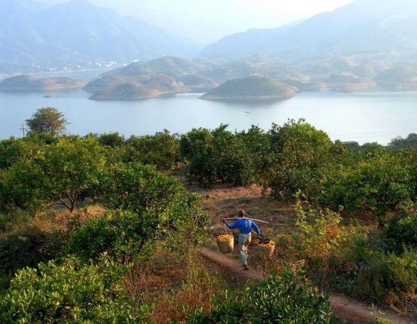 慈口乡用绣花功夫描绘扶贫开发山水画一路连村组一湖圈千户一山富万民