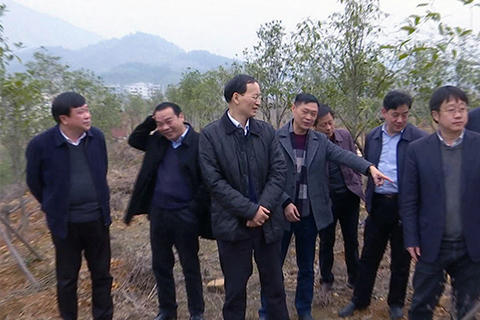 省林业厅厅长刘新池一行来我县调研精准灭荒工作,市林业局局长王槐生