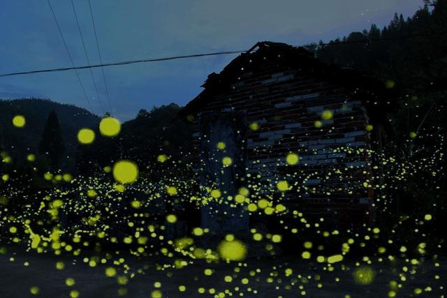 大耒山人不正如泰戈尔笔下的萤火虫吗?