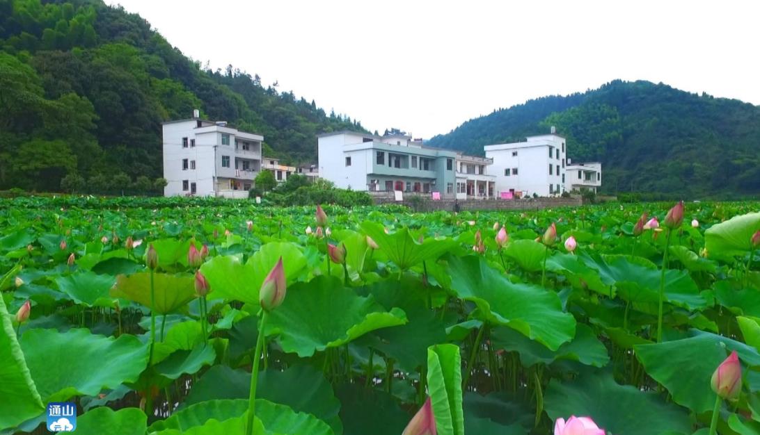 石门村成功入选"全国乡村旅游重点村"