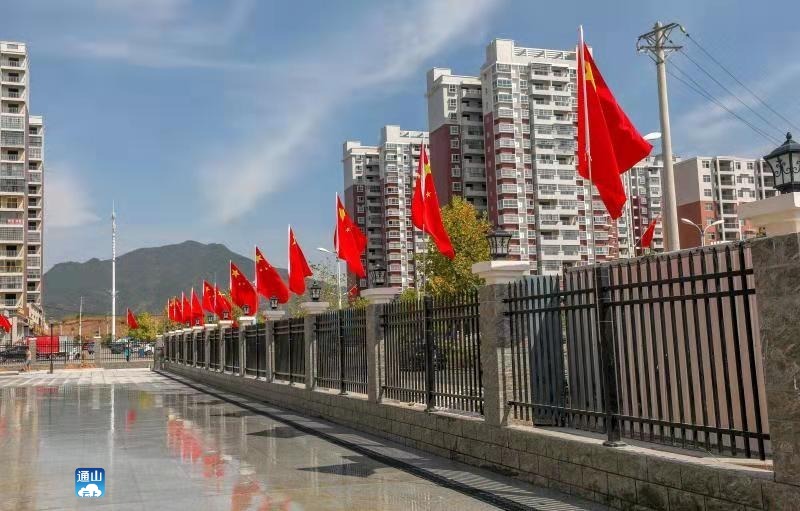 通山| 五星红旗飘起来,"国旗街"亮相通羊城