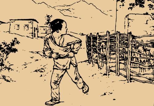 凤池夜读第184期丨纪念新中国成立70周年特别节目王琼朗读海娃送鸡毛