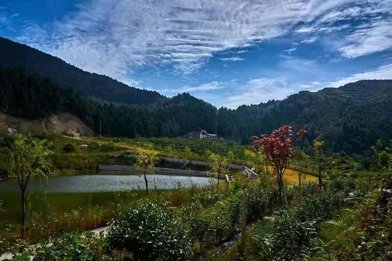 行摄通山太平山的秋天是流云最美的季节