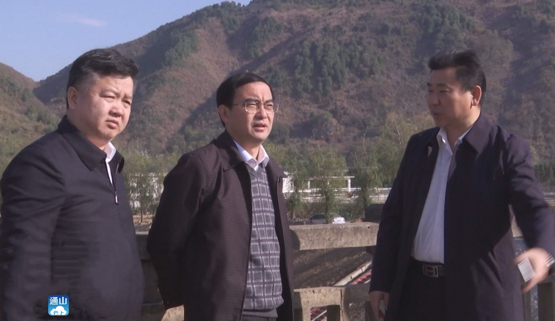 县长陈洪豪,县领导刘海元,金大德,柯振华分别