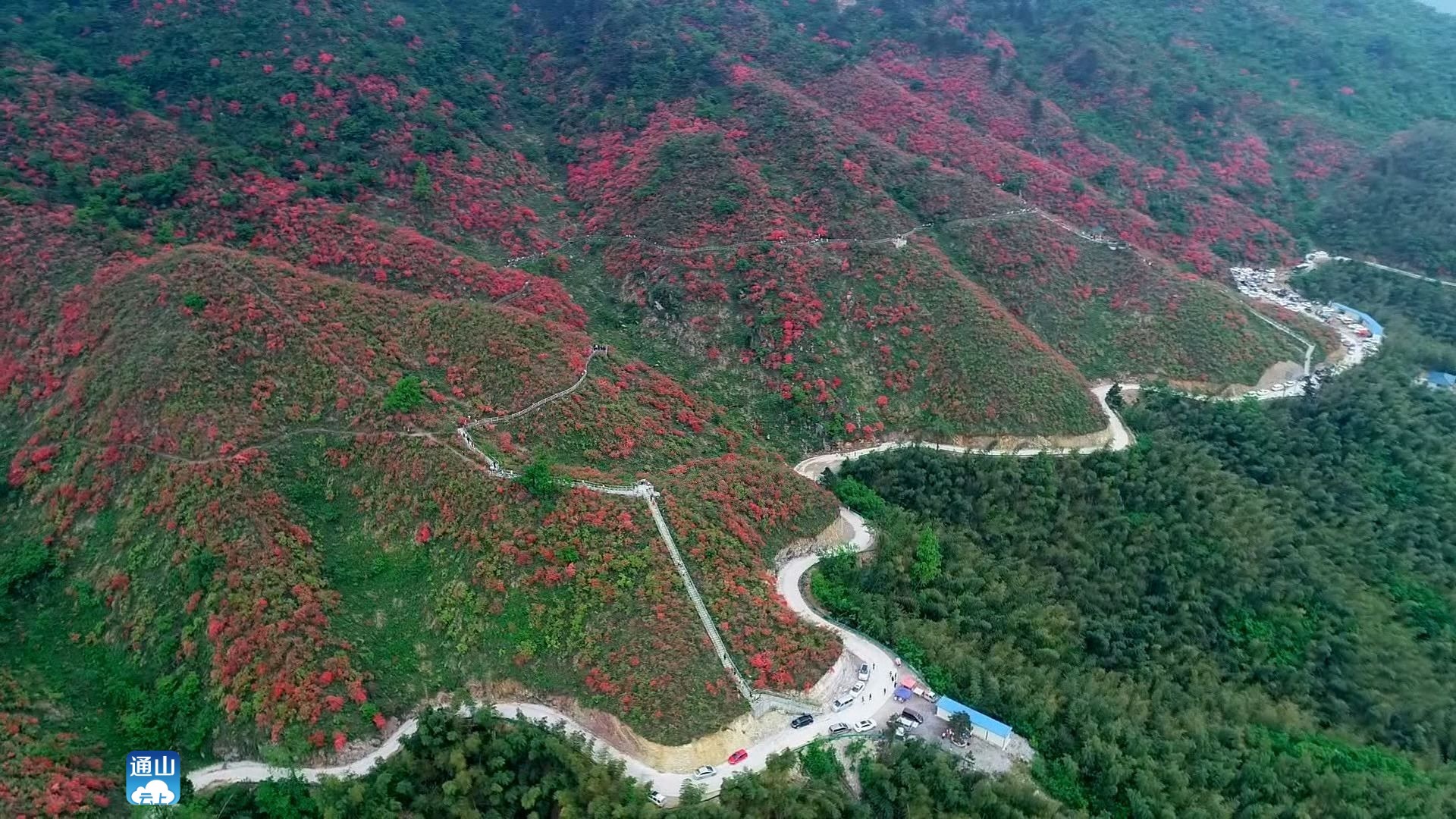 通山縣全力保護山水綠色環境為山通水富增強綠色定力