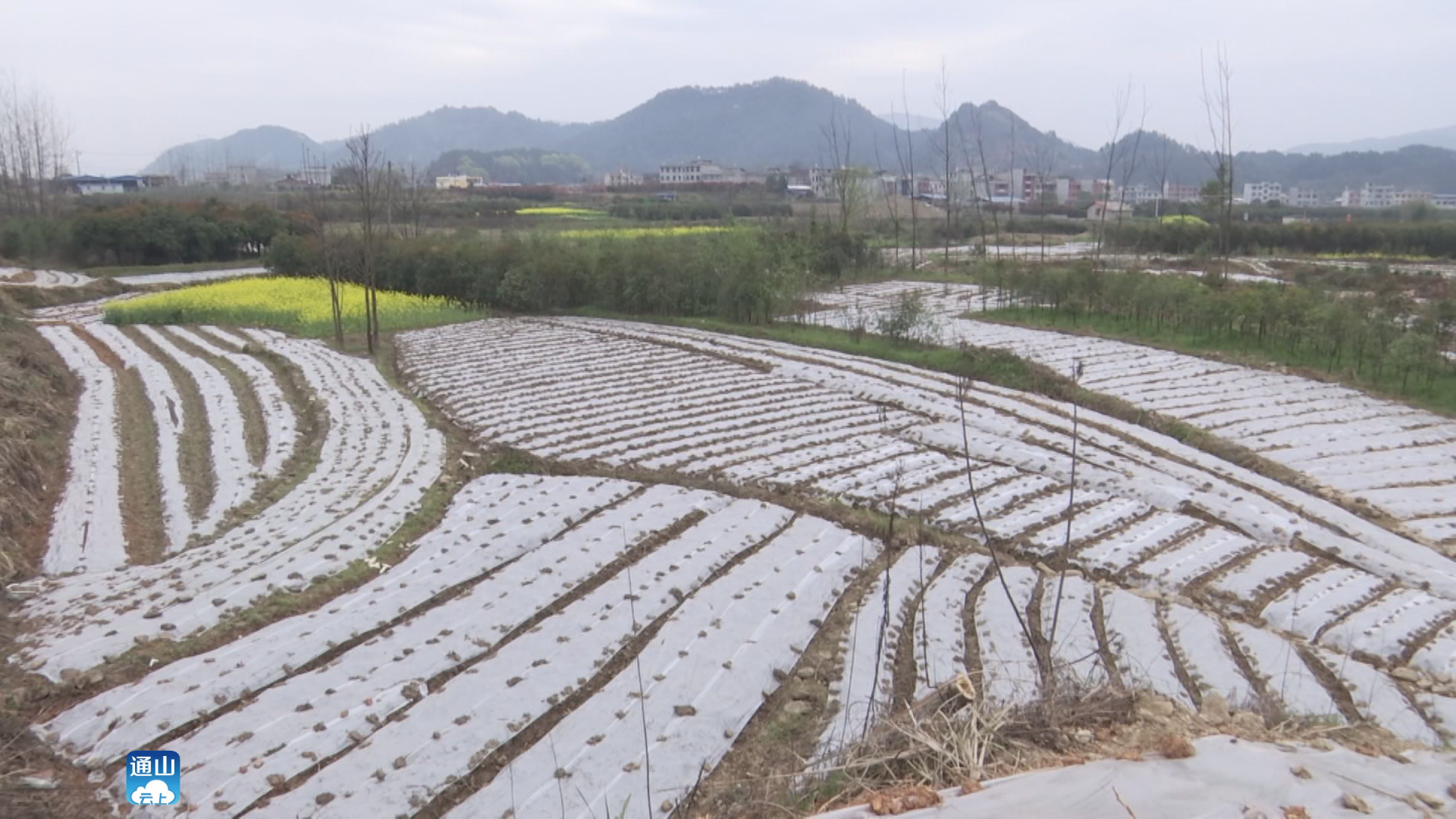 沿著核電公路,王遠鶴先後深入到通羊鎮沙堤村,茅田村,港口村和大畈鎮