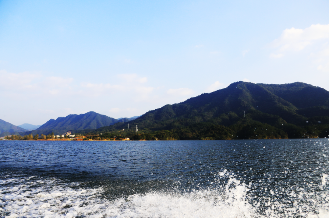 舟行碧波上人在画中游富水湖国家湿地公园