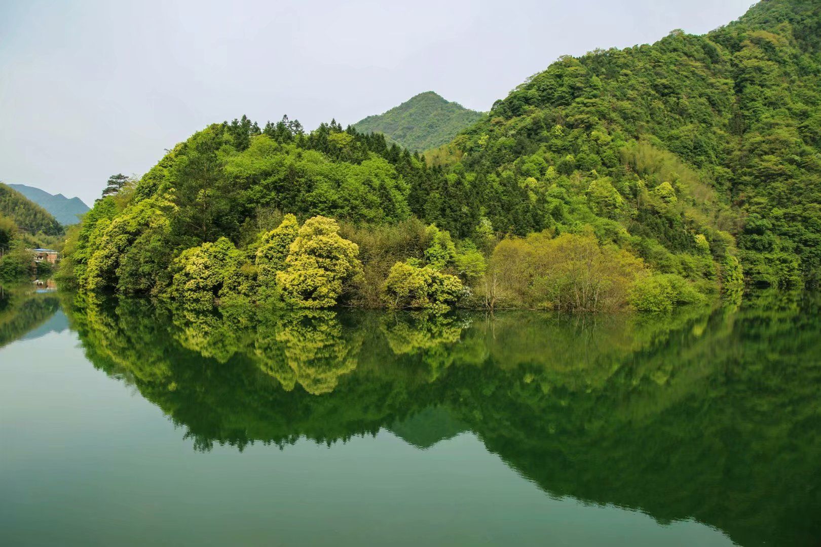 【图文】大山里的春天