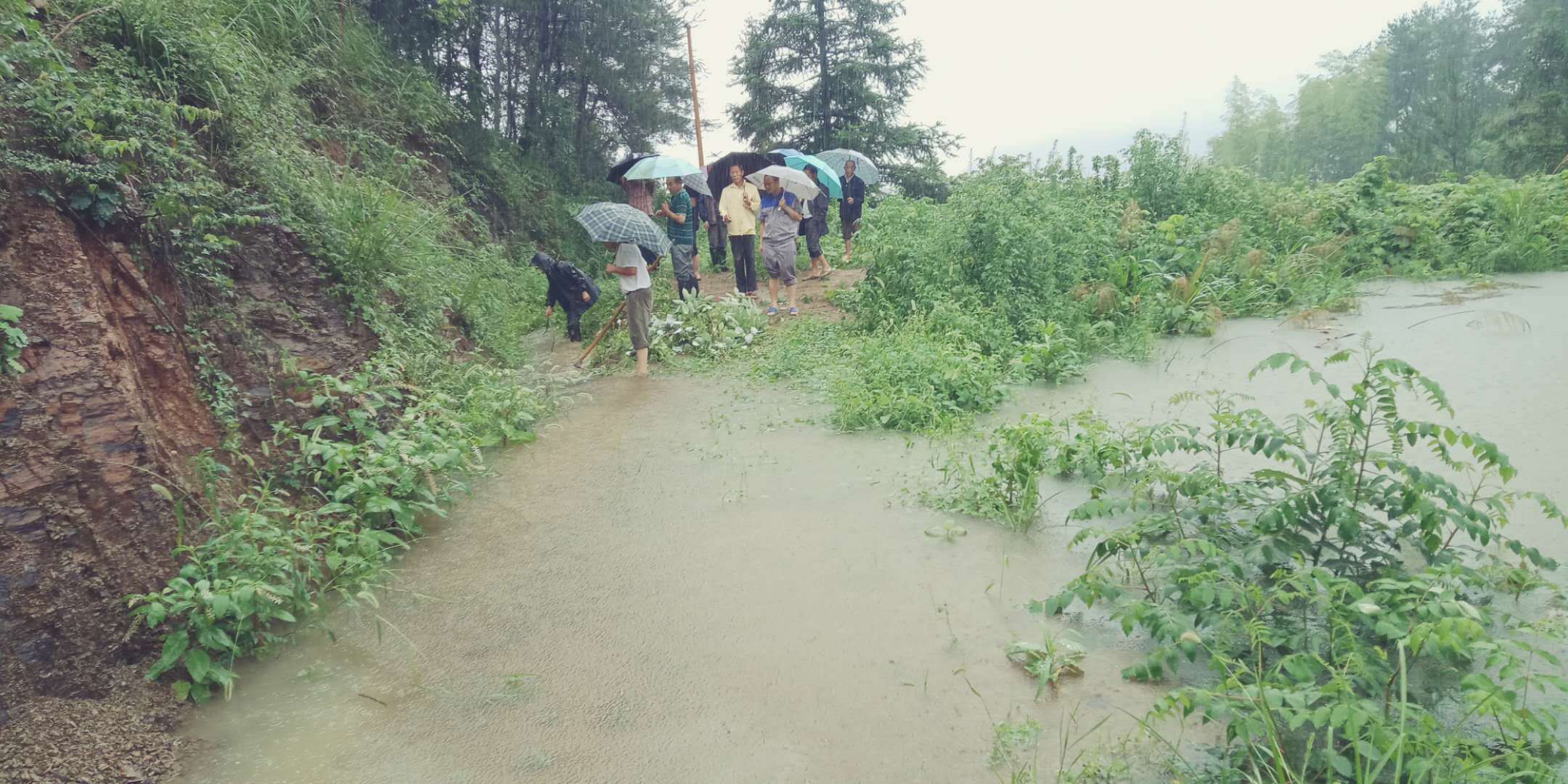 九宫山镇横石村干部组织党员群众到沙垅塘抢险泄洪.