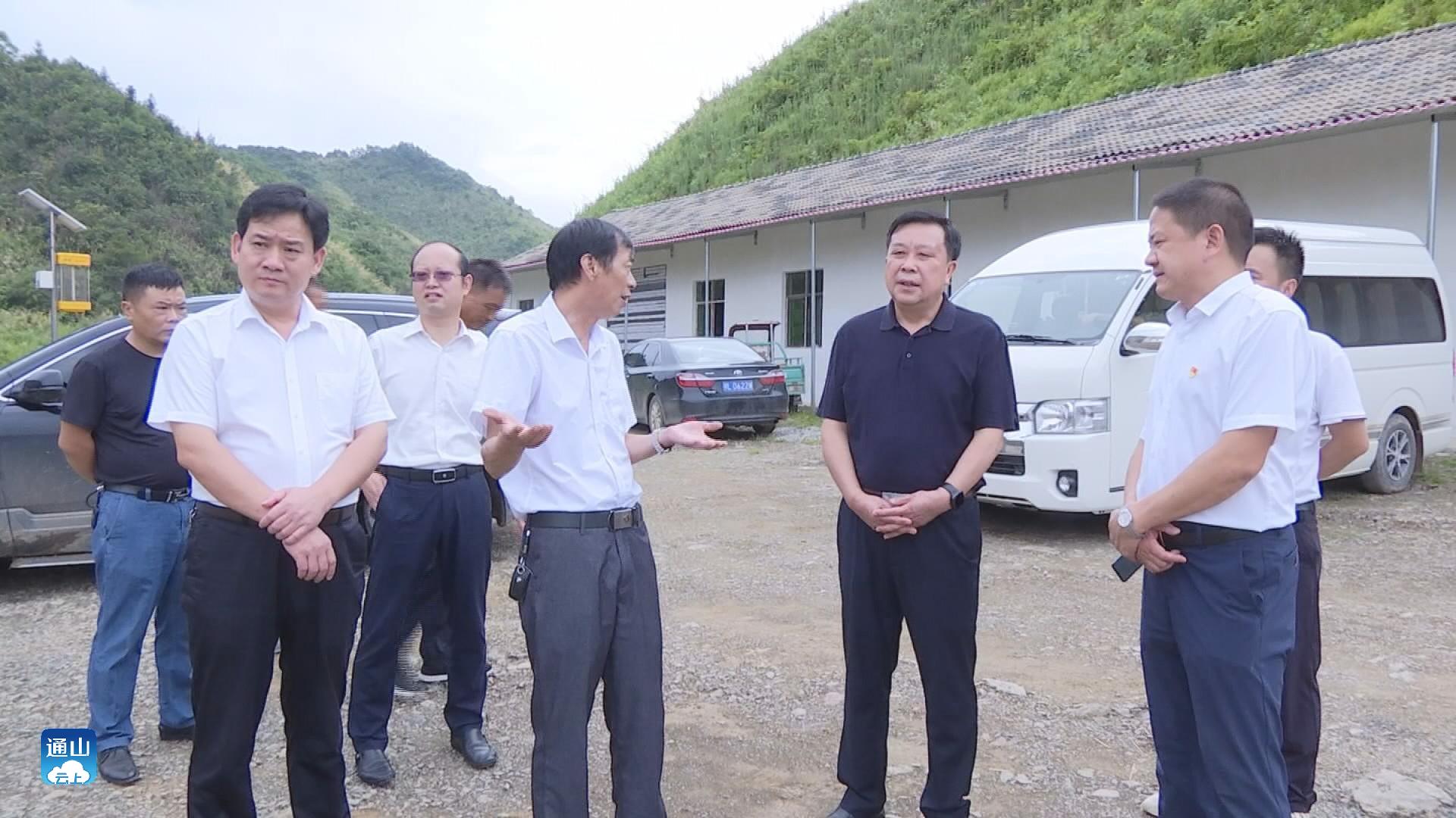 云上通山报道:(全媒体记者 施仕寨)7月21日,市人大常委会副主任,县委