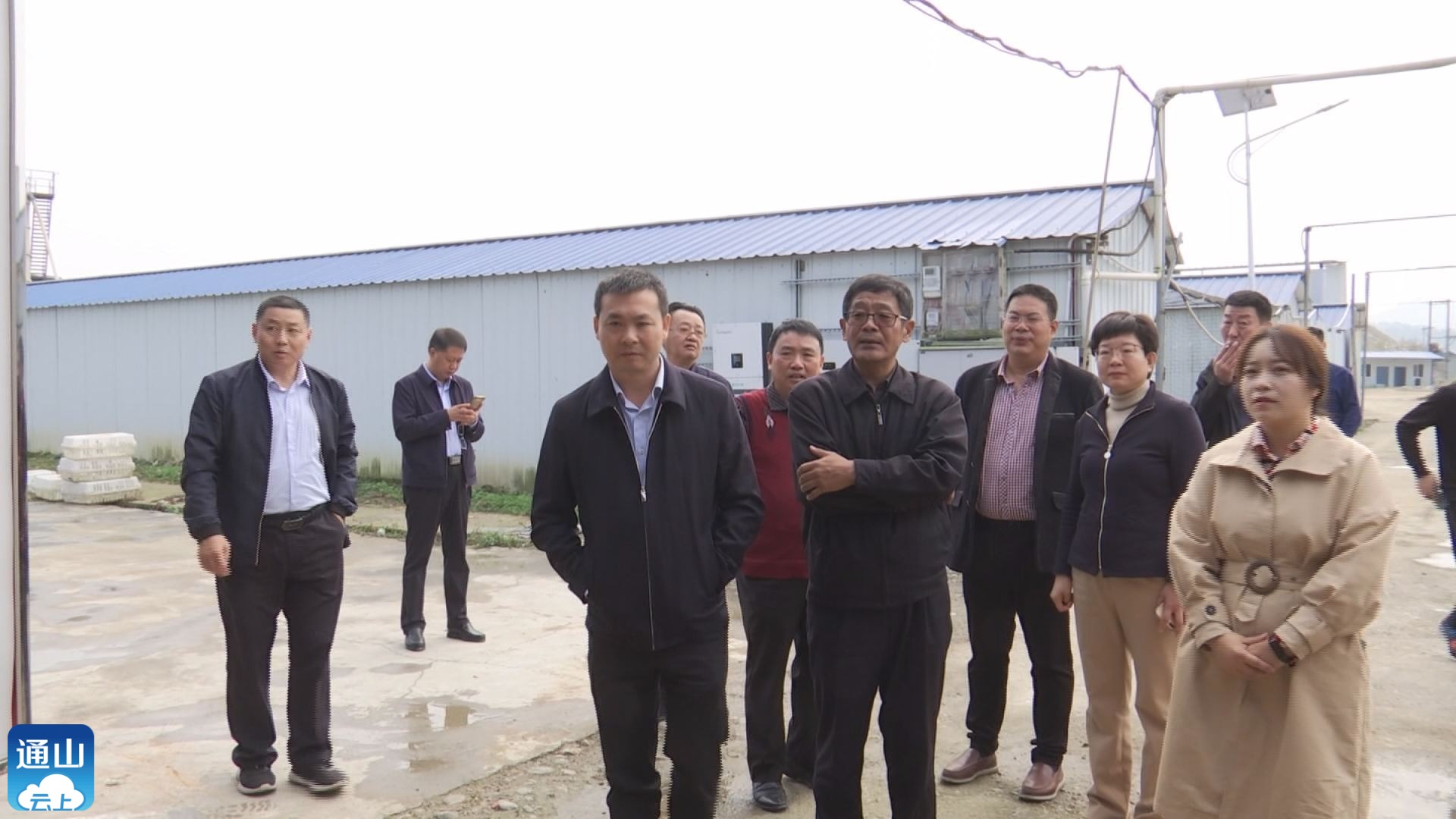 一行来我县调研禁食野生动物后续处置工作,副县长焦汉雄参加调研