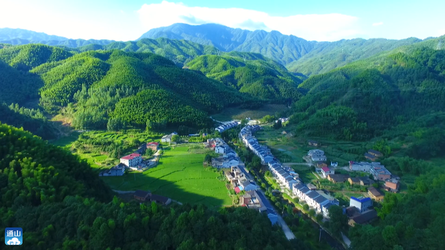 奋斗百年路启航新征程通山洪港镇青山绿水入画来