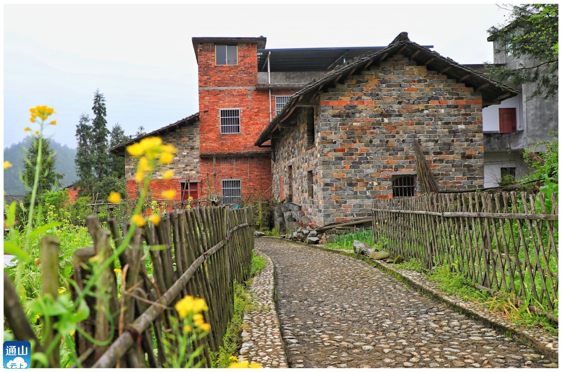 通山闯王镇党员联户一家亲党群关系鱼水情