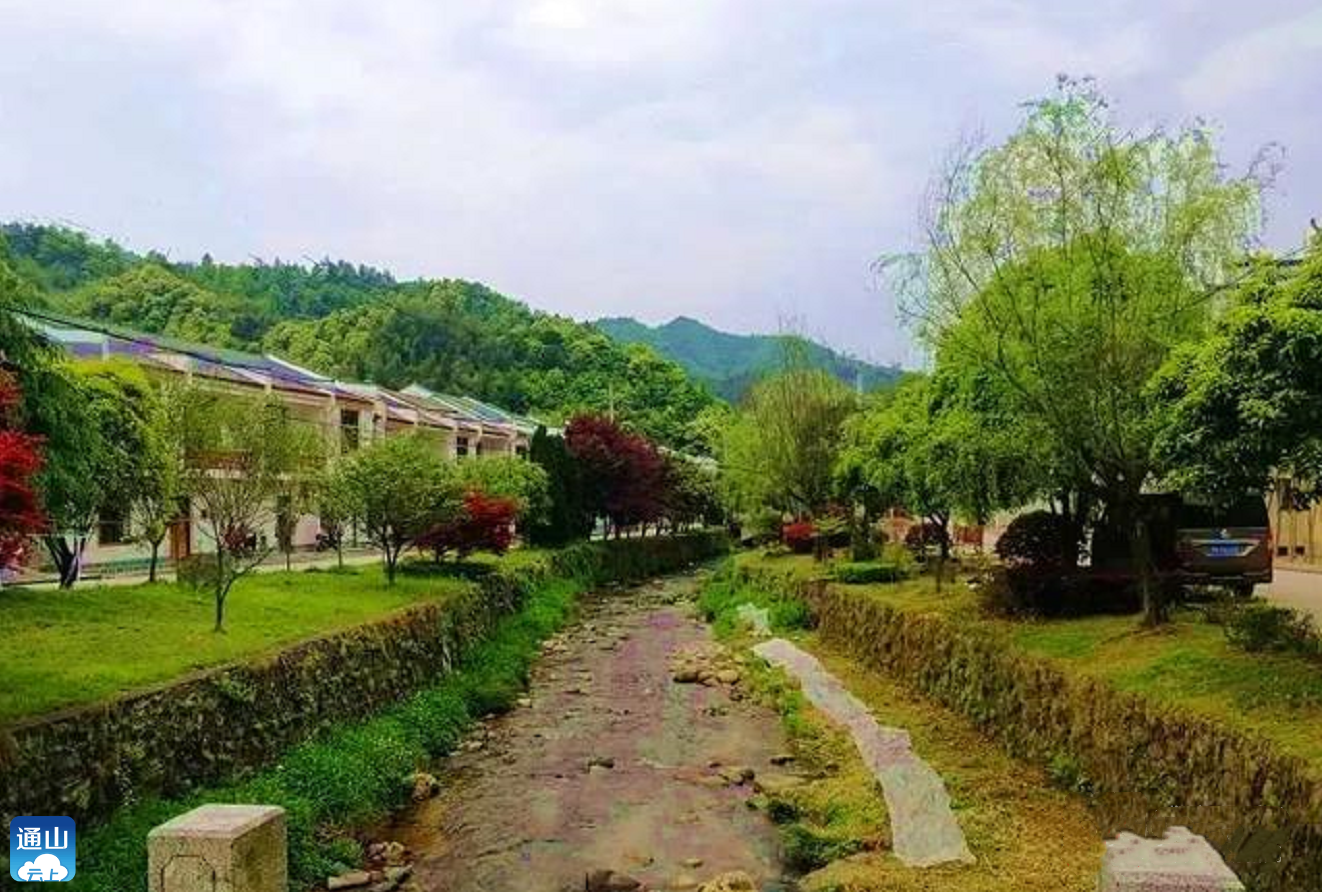 奋斗百年路启航新征程通山洪港镇青山绿水入画来