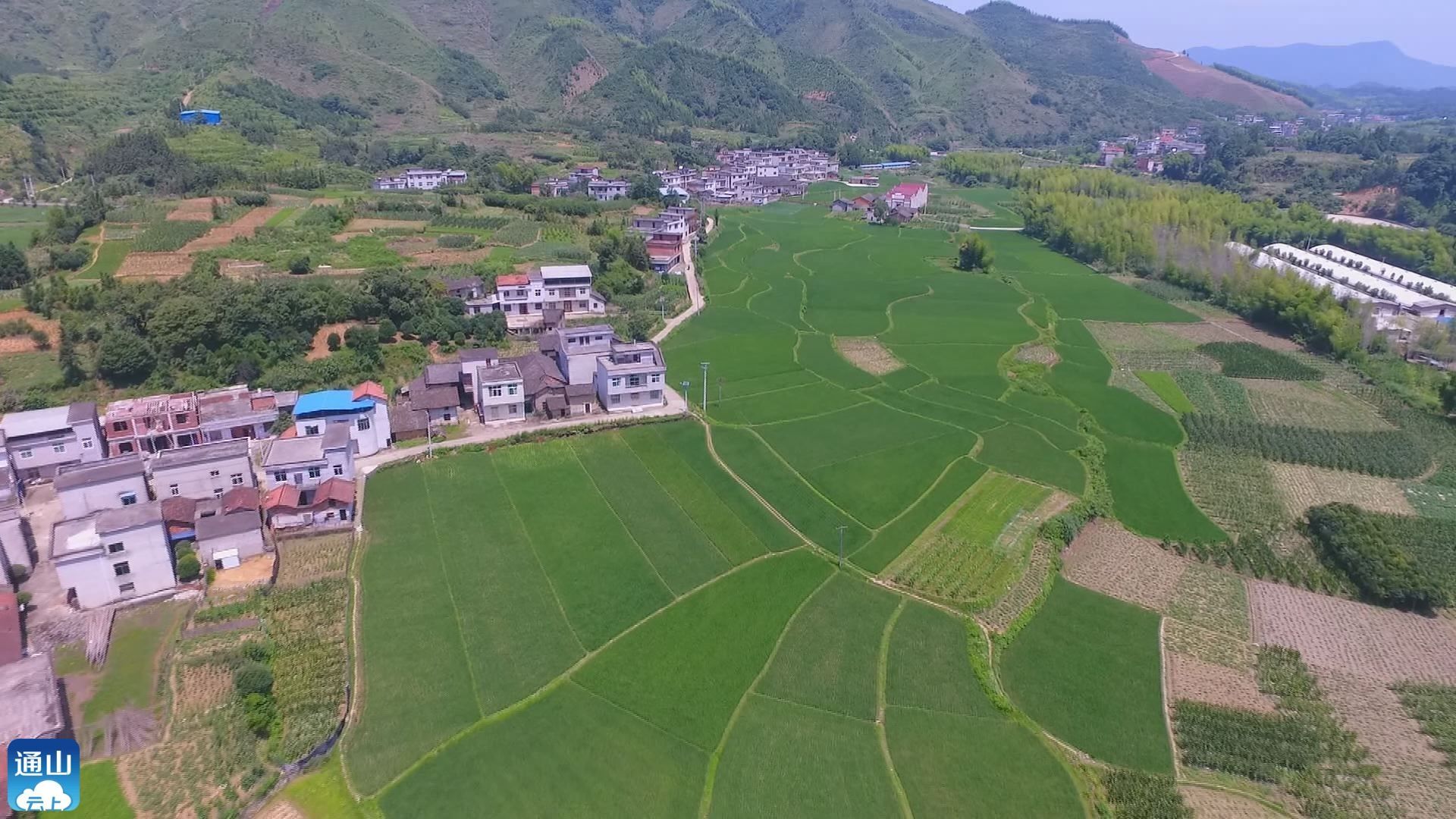 奋斗百年路启航新征程厦铺镇西湖村因地制宜制定五年发展规划走出别样