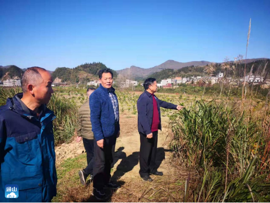 (通讯员 周若琳)11月24日,市税务局一行到乡村振兴驻点村通山县杨芳林