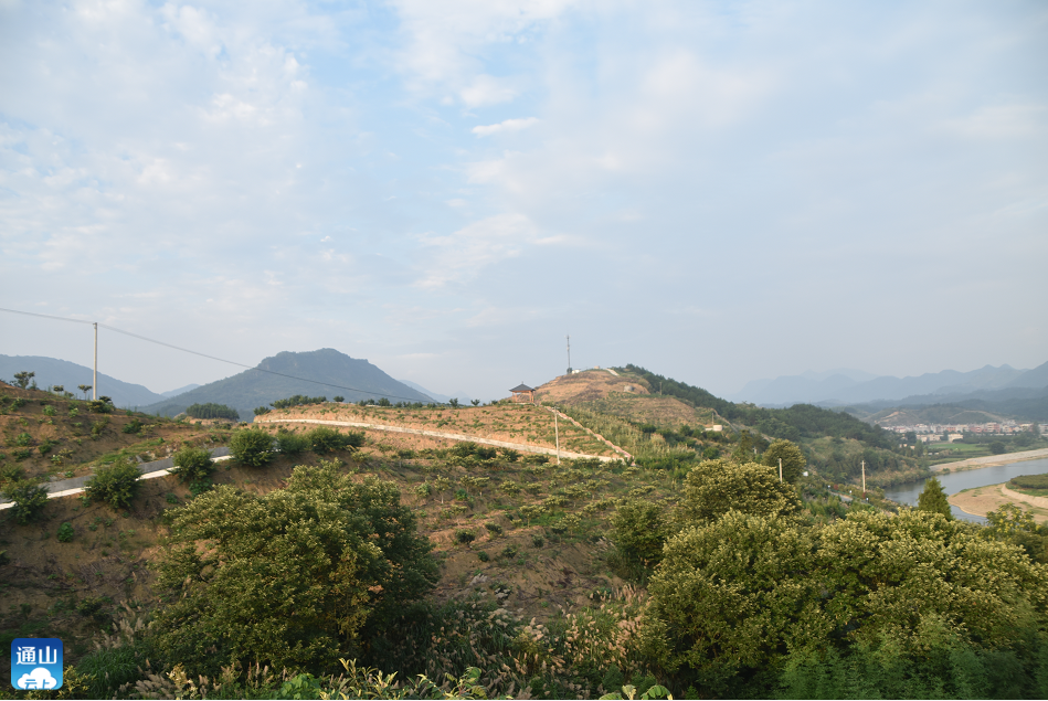 通山通羊镇转作风抓落实促跨越全力推进重点项目建设