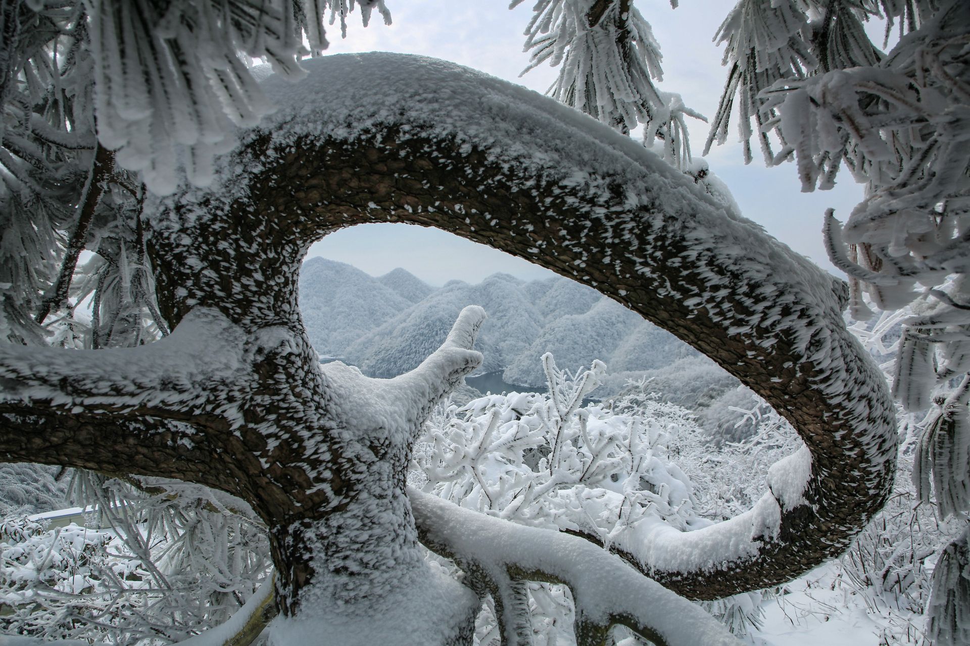 大幕山雾凇图片