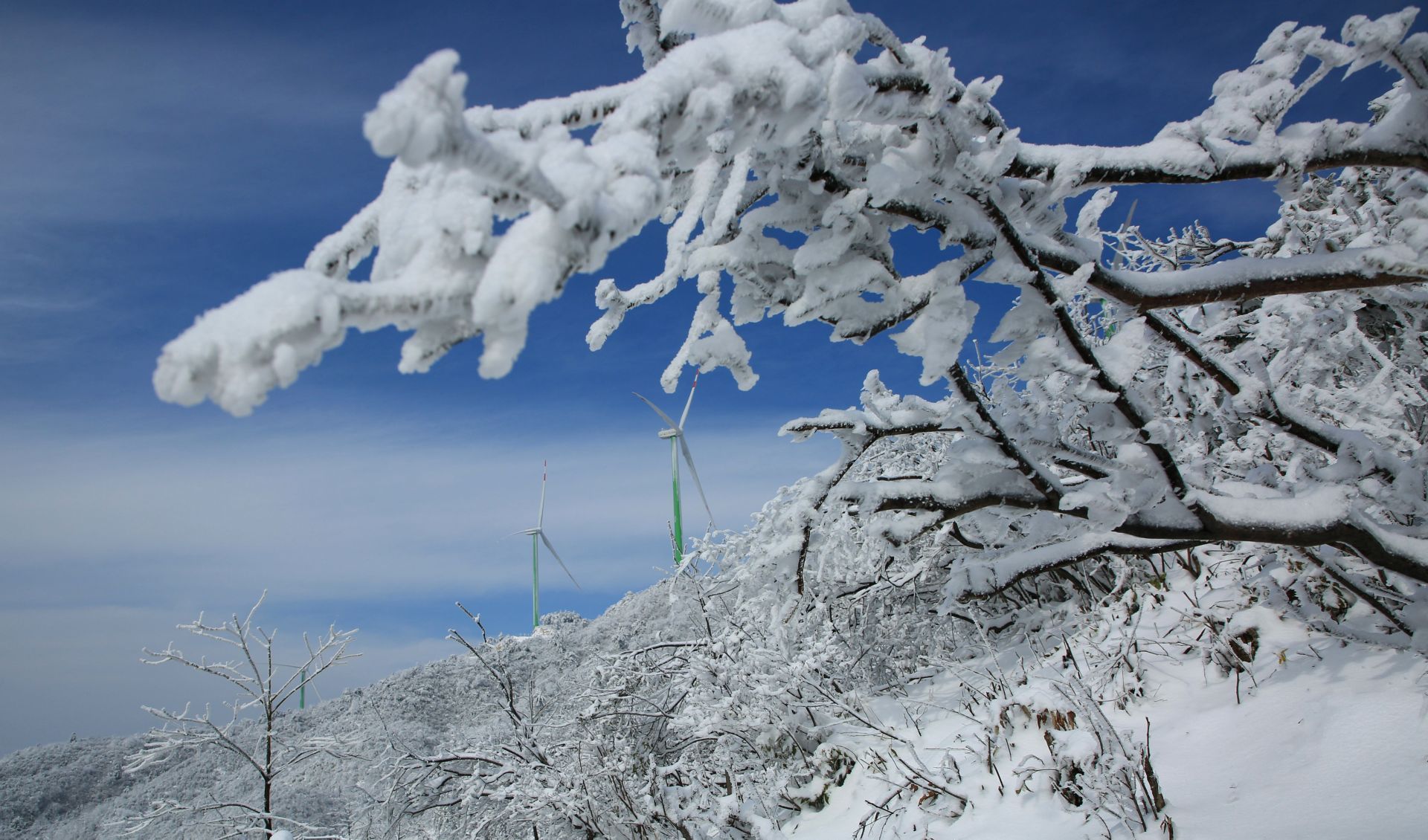 云上咸宁组图│通山春雪惊艳大幕山