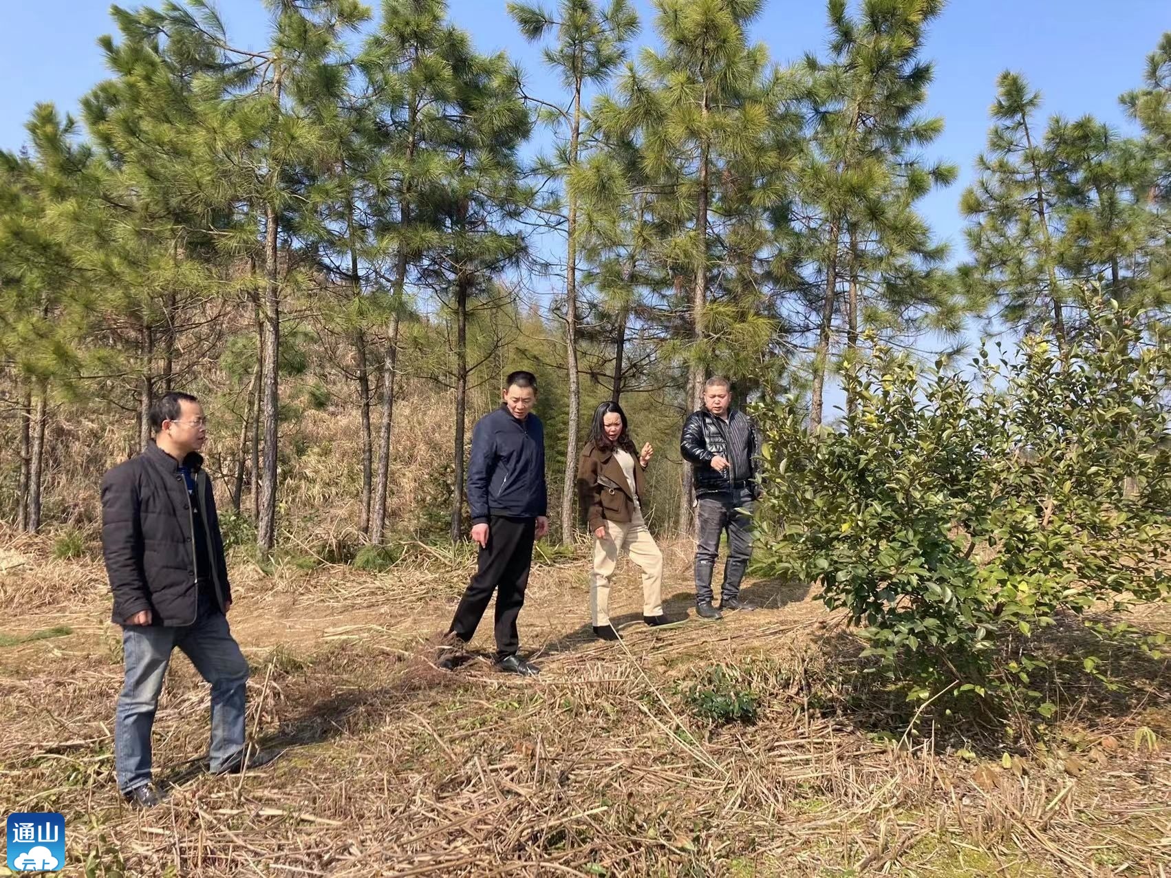 杨芳林乡:积极开展林长制巡林工作_云上通山