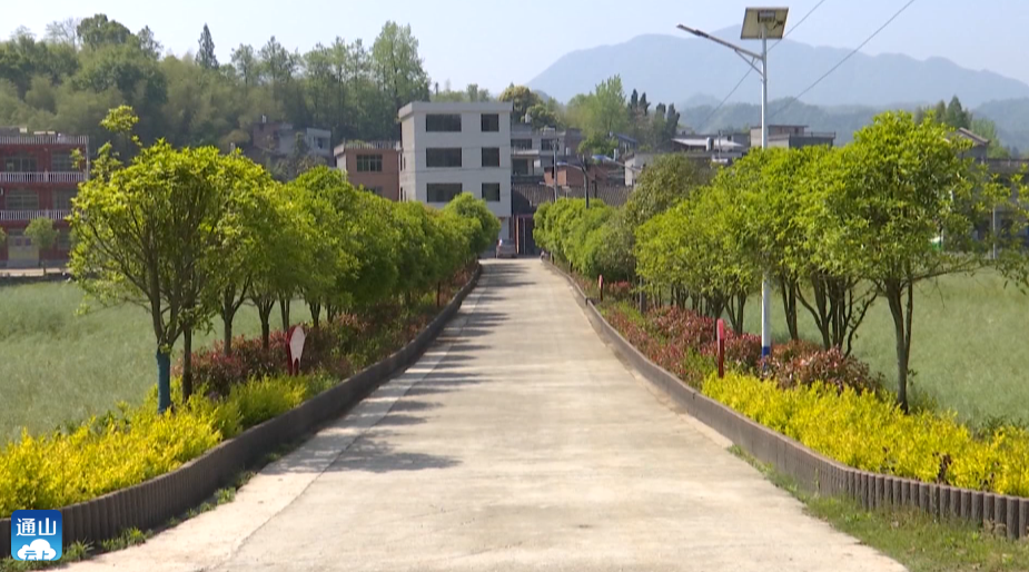 奋进新征程建功新时代v视洪港镇车田村农旅产业融合发展打造新时代