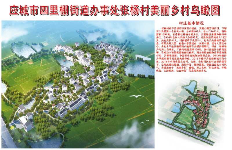 应城肖湾村规划图片图片