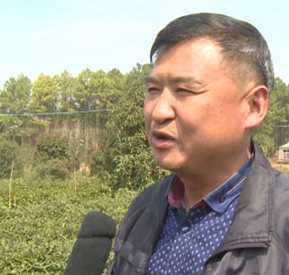 胡绍平在杨岭镇有名店林区承包林地1095亩从事林木种植.