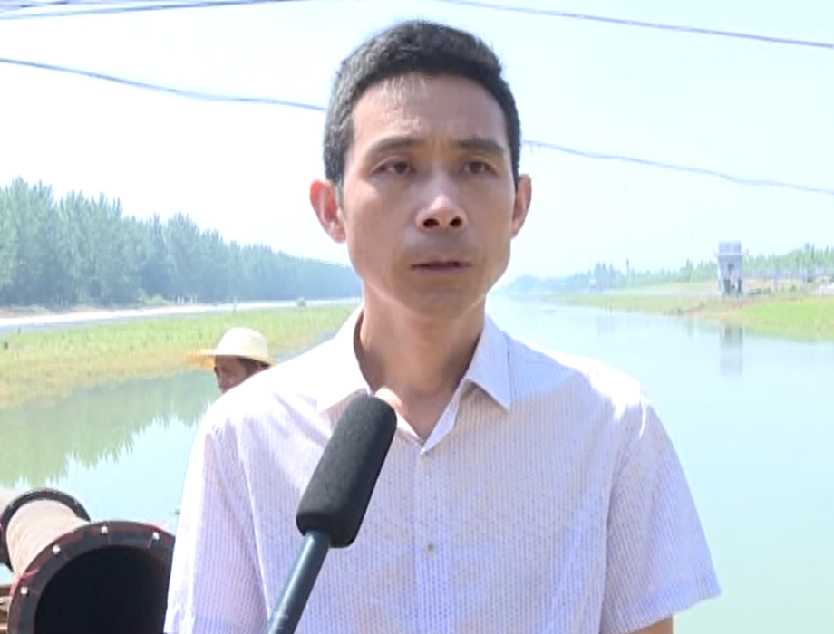 陈河镇多方调水抗旱 全面保障农业灌溉_云上应城
