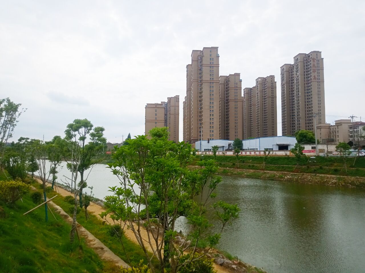 市委书记程涛巡河时强调持续发力久久为功推动河湖治理取得新成效